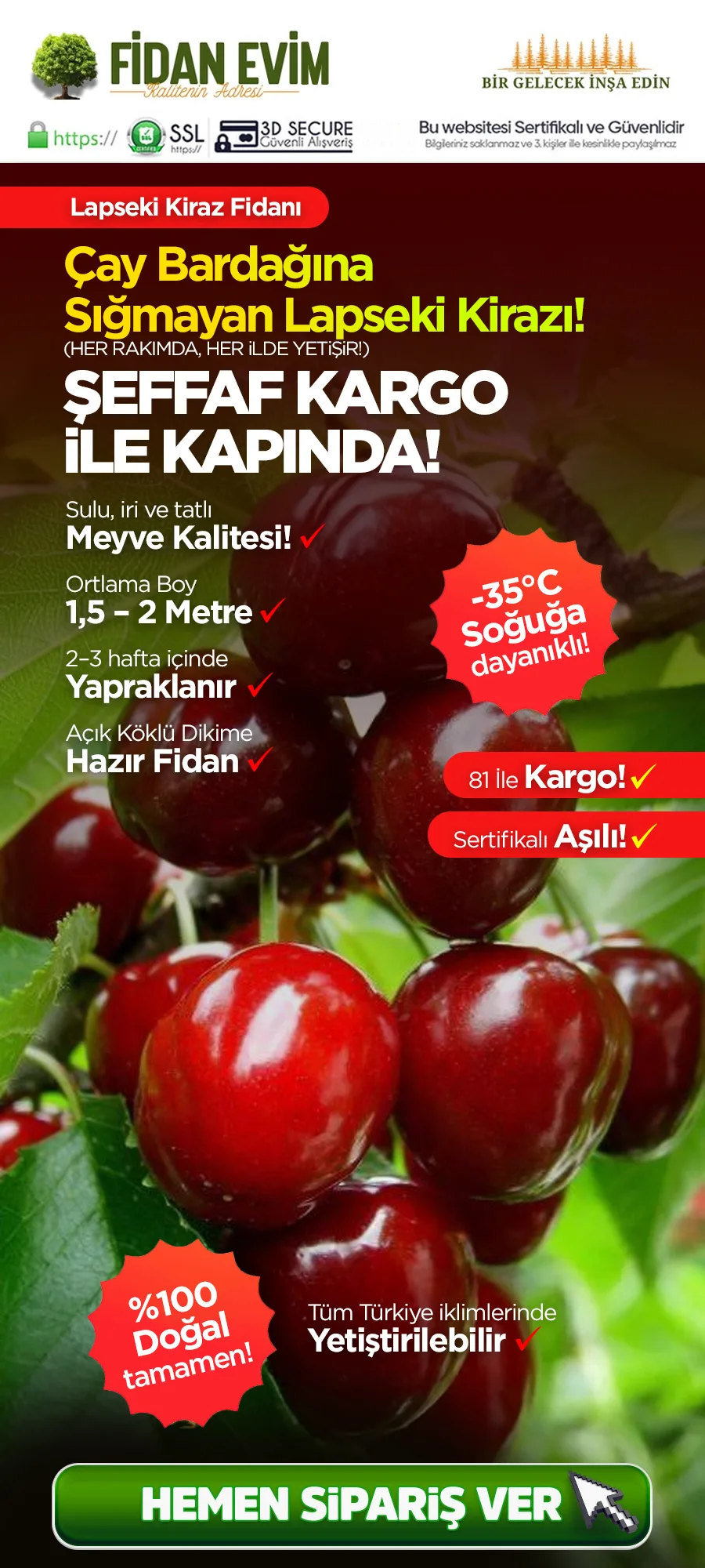 lapsekidevikiraz.jpg 1